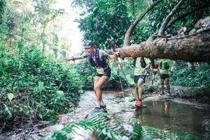 BIB: 
                            <button type="button" onclick="openModal(25441768)" class="btn btn-primary btn-sm float-right btn-popup" data-toggle="modal" data-target=".modal-high-quality">
                        <i class="fas fa-shopping-cart"></i> Add to Cart
                    </button>
                                            <button type="button" onclick="isThisMe(25441768, true)" class="btn btn-success btn-sm float-right btn-popup btn-isme hidden" data-toggle="tooltip" data-placement="bottom" title="นี่คือรูปของคุณใช่ไหม คลิกที่นี่เพื่อเอาเข้าอัลบั้ม">
                        <i class="fas fa-plus"></i> Add to album
                    </button>
                    <button type="button" onclick="isThisMe(25441768, false)" class="btn btn-warning btn-sm float-right btn-popup btn-isnotme hidden">
                        <i class="fas fa-ban"></i> Remove from album
                    </button>